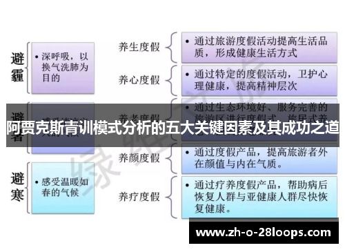 阿贾克斯青训模式分析的五大关键因素及其成功之道 阿贾克斯青训模式分析的五大关键因素及其成功之道